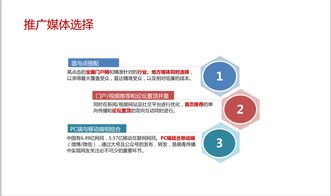 宠物食品品牌推广策略 从网络营销到市场策划的全方位指南