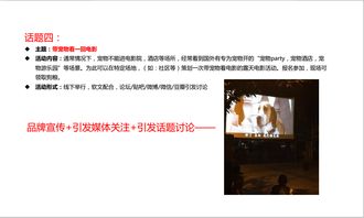 全方位攻略 宠物食品品牌的市场推广与网络营销策划