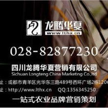 品牌策划与网络营销 从策略到执行的全方位解析